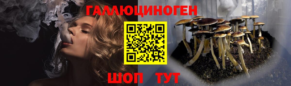 Галлюциногенные грибы ЛСД  Вышний Волочёк 